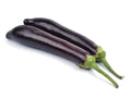 Aubergine lång