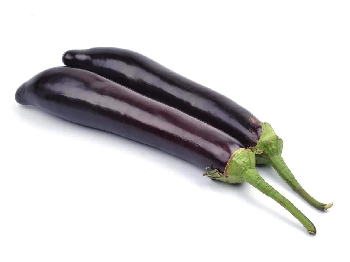 Aubergine lång