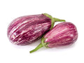Aubergine strimmig