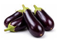 Aubergine