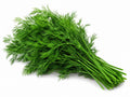 Dill