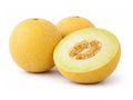 Gala Melon