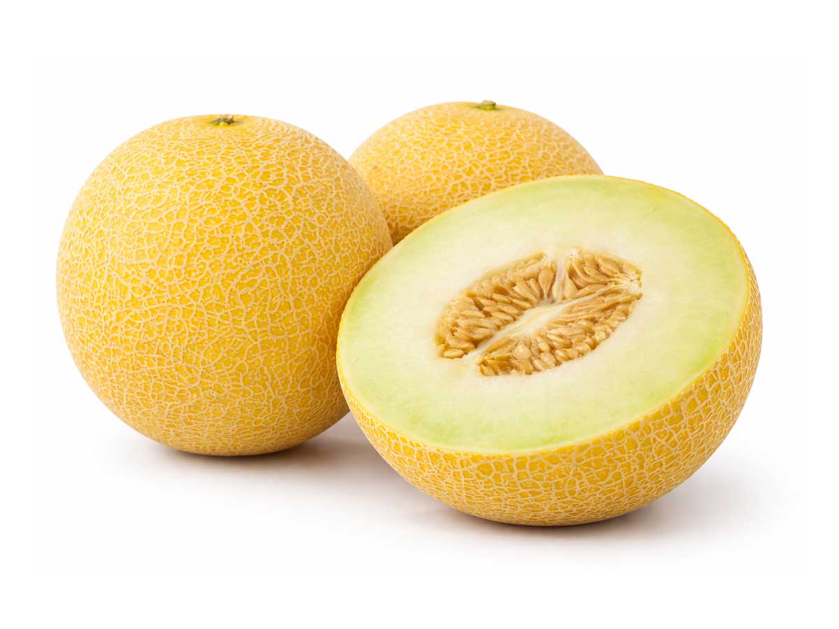 Gala Melon