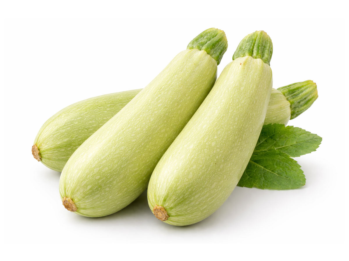 Zucchini ljus
