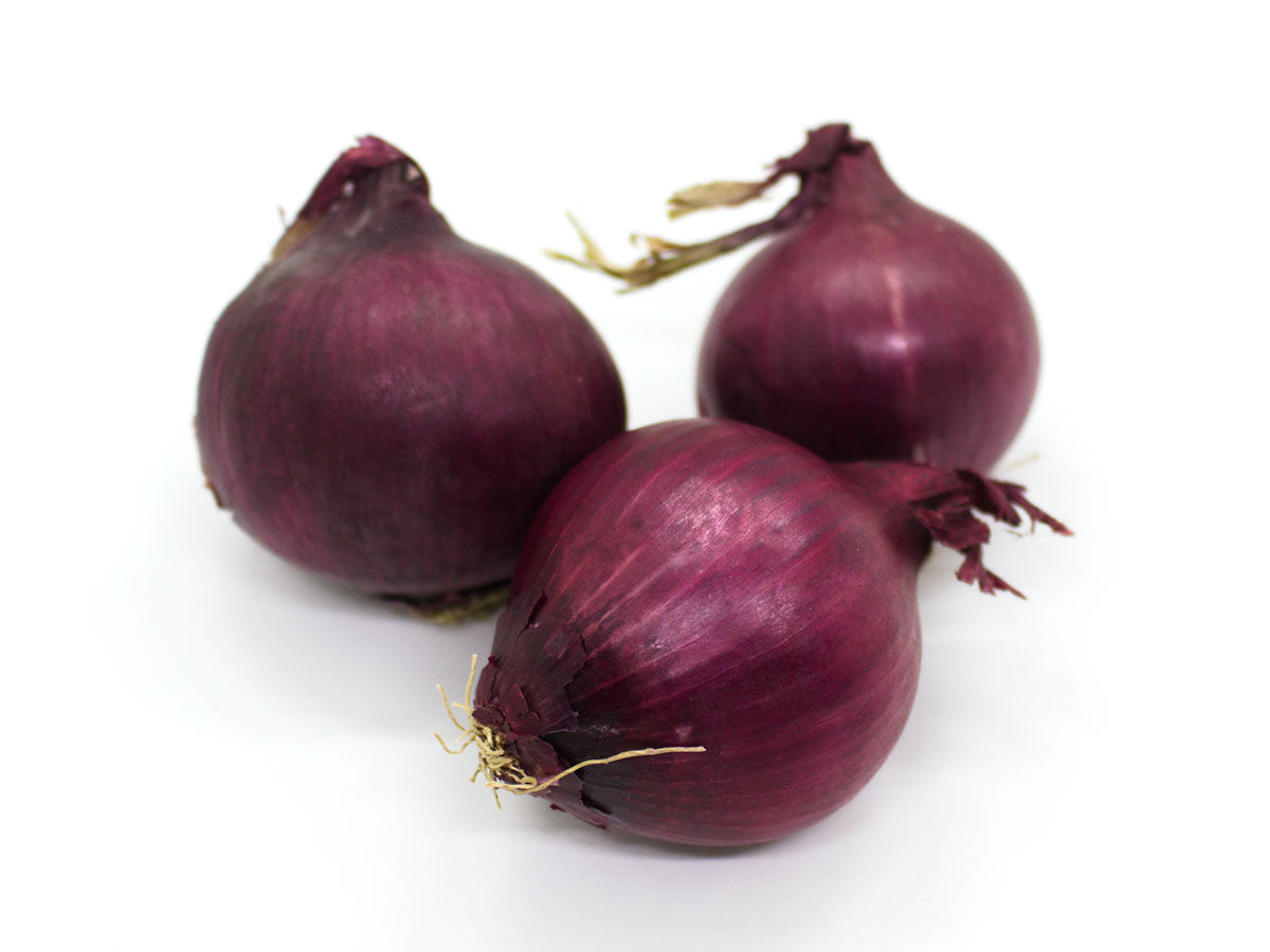 Röd lök
