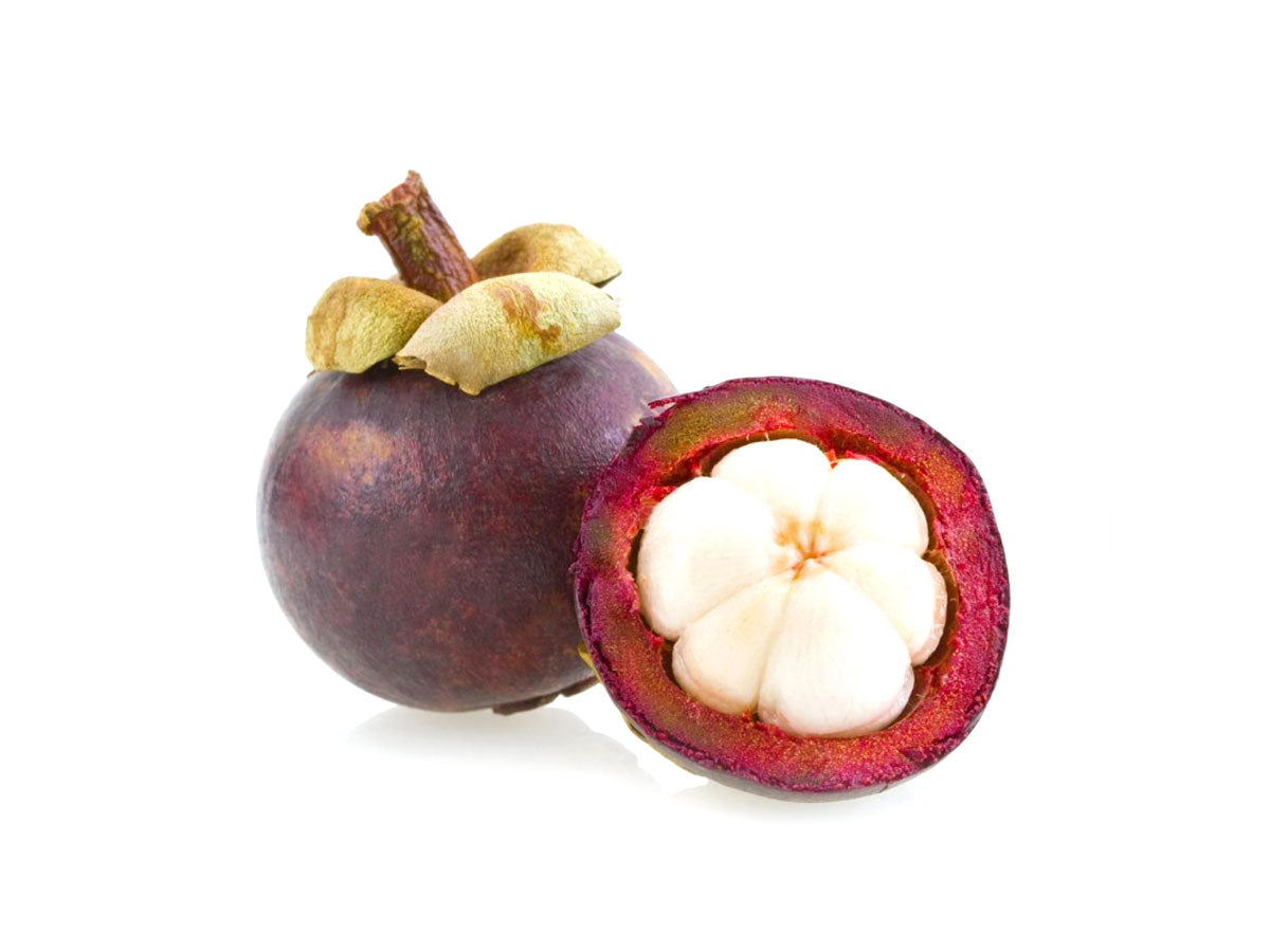 Mangostan