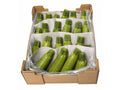 Zucchini mini