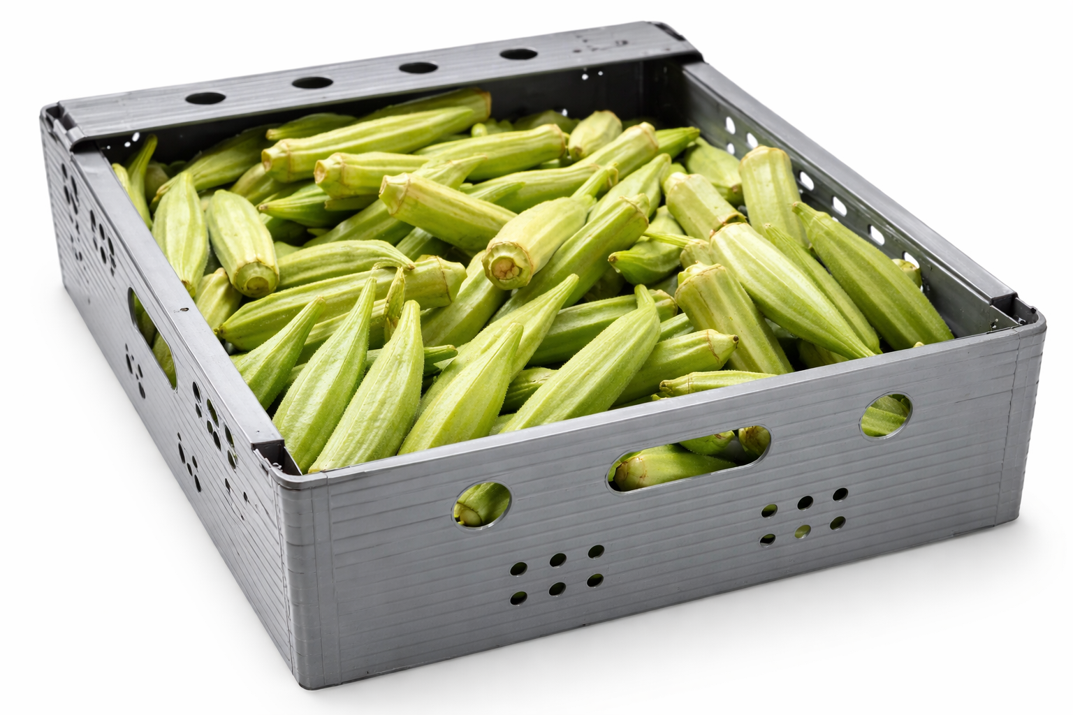 Okra