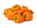 Paprika orange