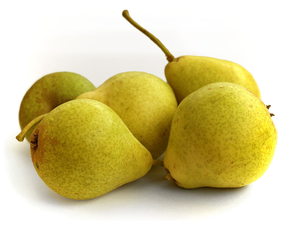 Päron