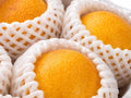 Passionfruit Granadilla