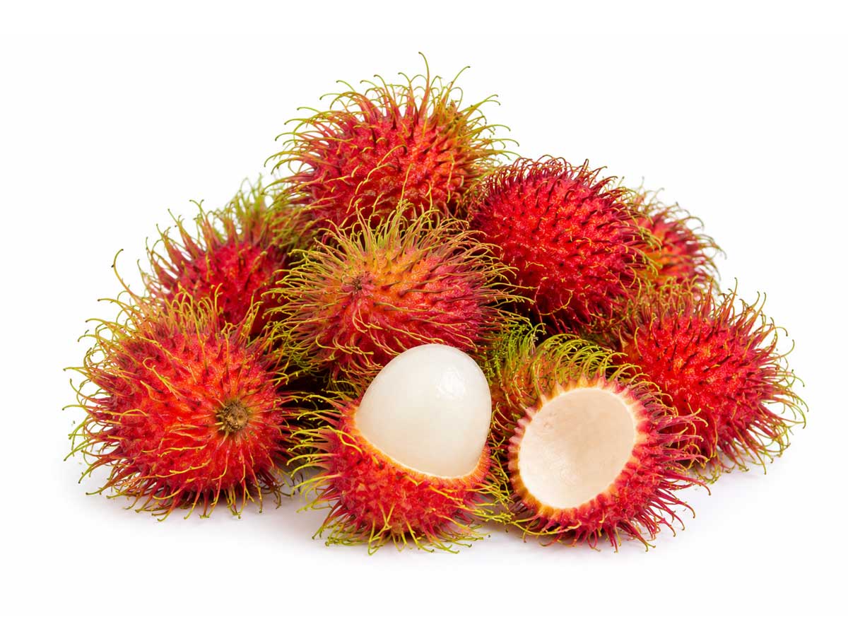 Rambutan