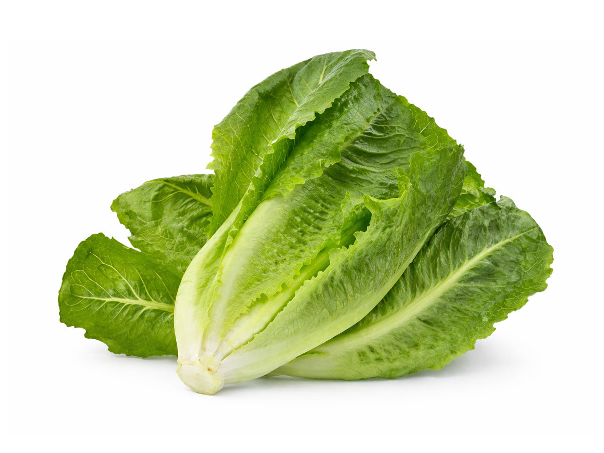 Sallad roman