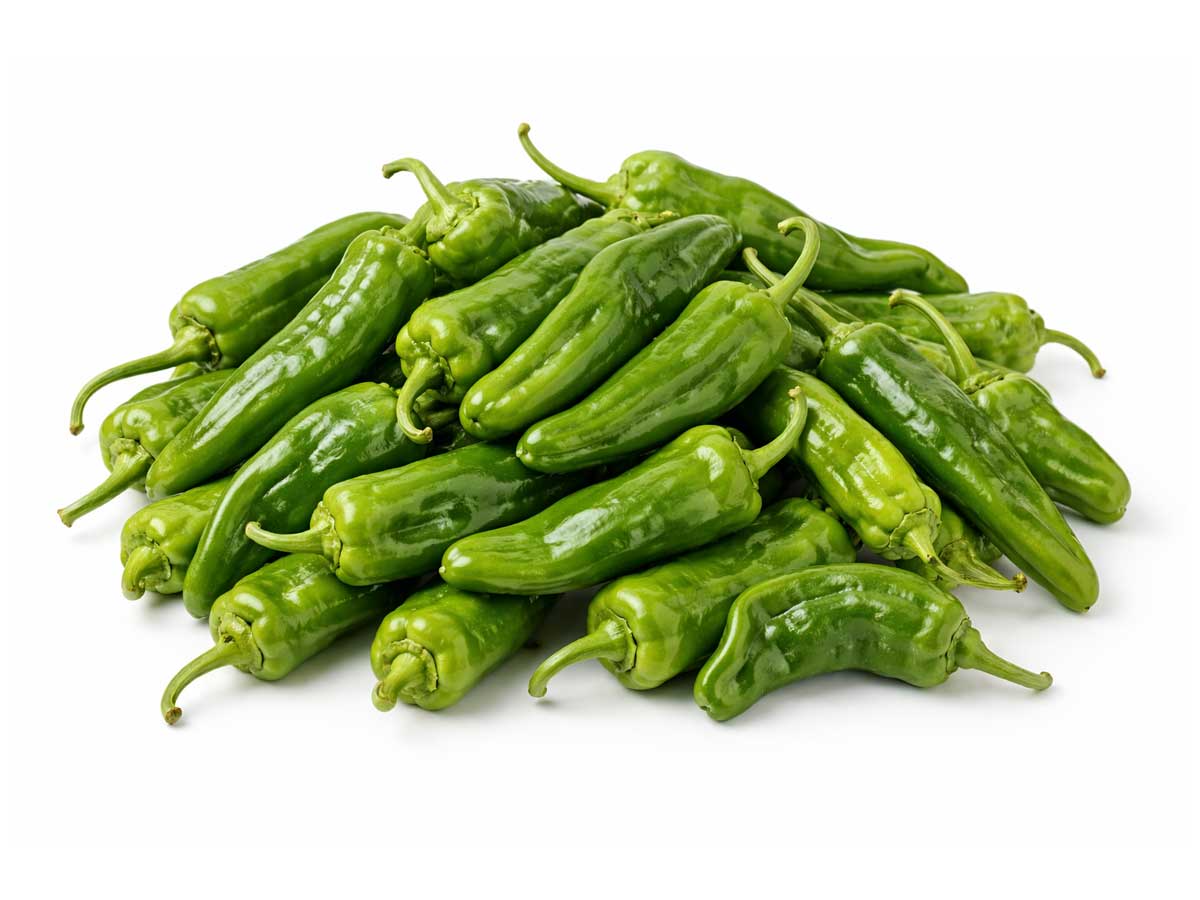 Paprika grön spets