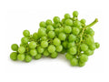 Vindruvor gröna