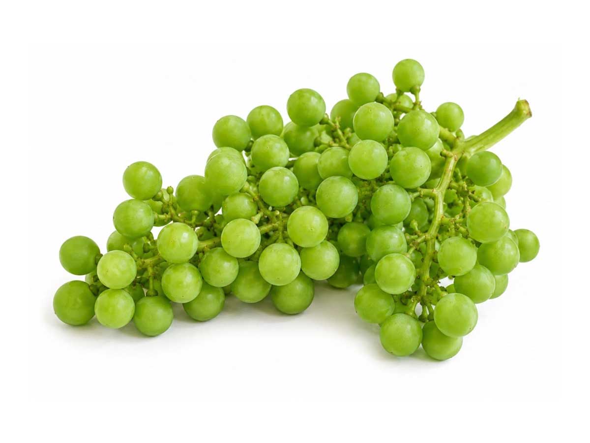 Vindruvor gröna